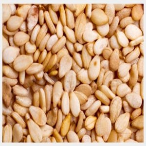 Sesame seed